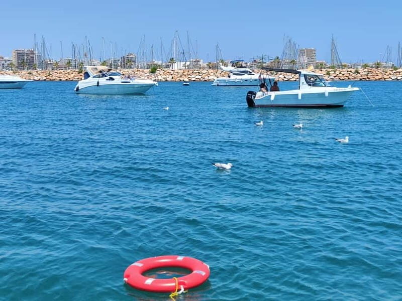 Boat trip and swimming in the sea - Key Points