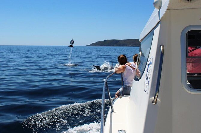 Boat Trip for Dolphin Watching along the Arrabida Coast and Sesimbra - The Sum Up