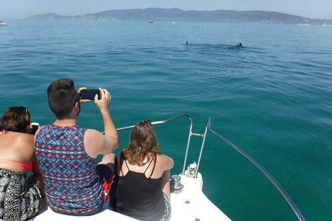 Boat Trip for Dolphin Watching along the Arrabida Coast and Sesimbra - FAQs