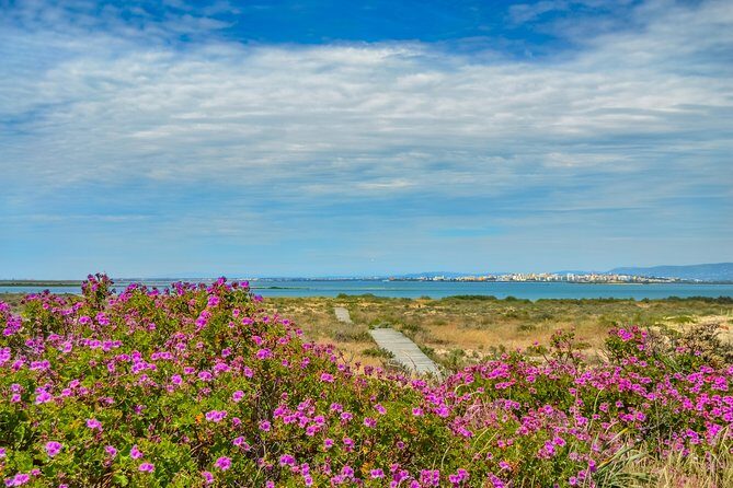 Boat trip from Faro to Ilha Deserta by Ferry - How the trip begins and what to expect at the start