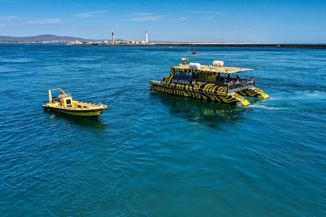 Boat trip from Faro to Ilha Deserta by Ferry - What to do once on the island