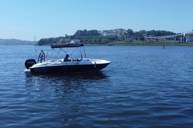 Boat Trip in Douro Porto - Key Points