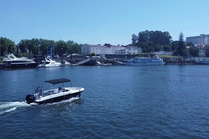 Boat Trip in Douro Porto - What the Reviews Say: Authentic Insights