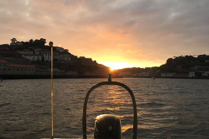 Boat Trip in Douro Porto - The Experience’s Strengths and Limitations
