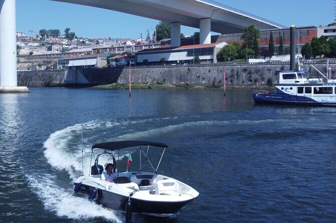 Boat Trip in Douro Porto - Final Thoughts: Is It Worth It?