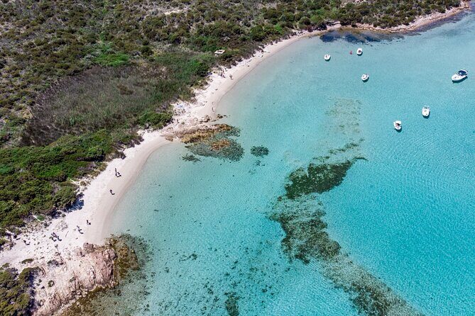 Boat trip La Maddalena Archipelago - Departure from Palau - Value and Overall Impression