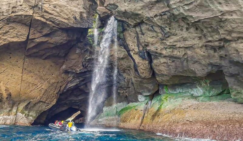 Boat Trip to Corvo and Island Sightseeing Tour - Final Thoughts: Who Will Love This Experience?