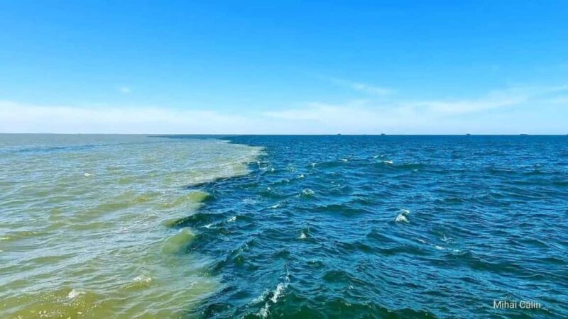 Boat trip to the Danube's mouth at the Black Sea - Why This Boat Trip Stands Out