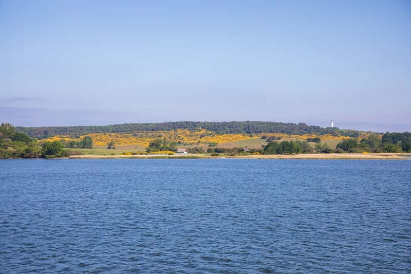 Boat trip to the Island of Hiddensee from Zingst - FAQ