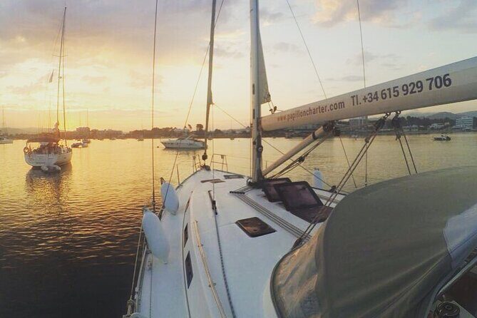 Boat trip Valencia - Who Will Love This Tour?