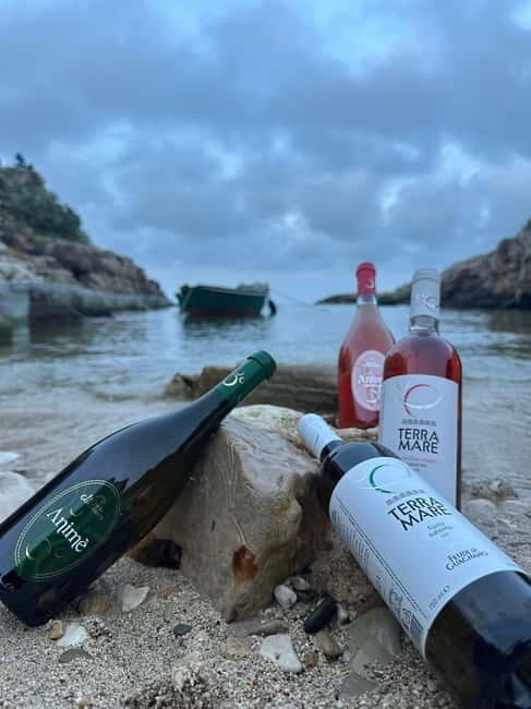 Boat trip with tasting of typical Apulian products - More Insights from Reviews