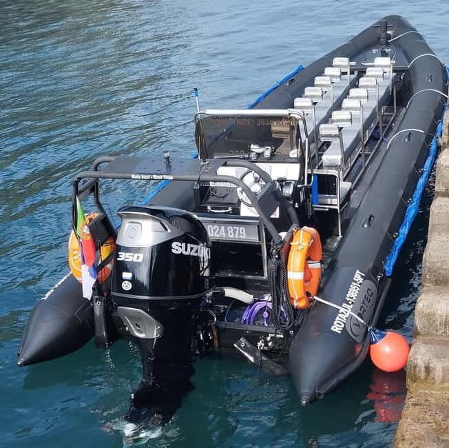 Boat trips to Corvo Island - Key Points