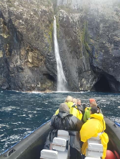 Boat trips to Corvo Island - Price and Value