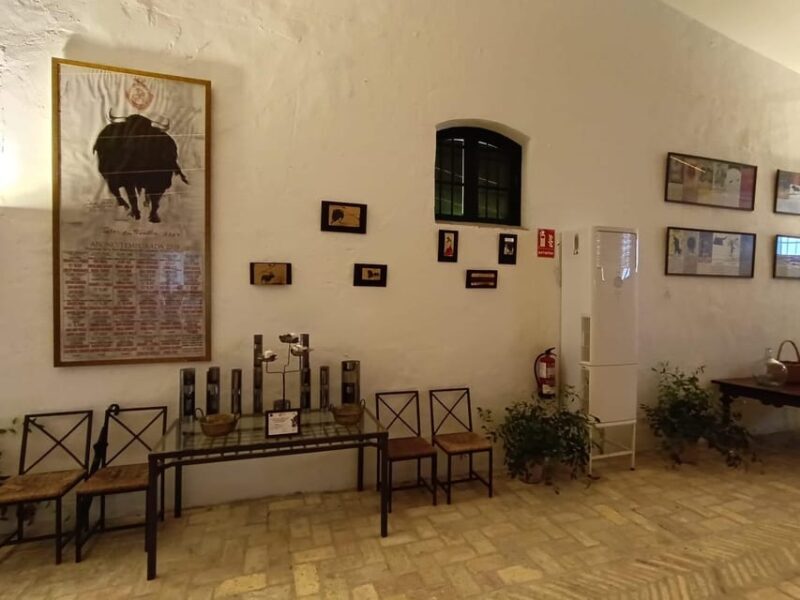 Bodega Halcón Winery Tour with Wine Tasting South of Seville - A Deep Dive into the Bodega Halcón Experience