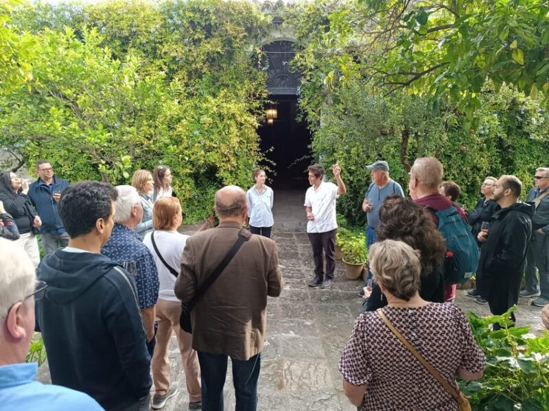 Bodega Halcón Winery Tour with Wine Tasting South of Seville - What to Expect at Each Stage