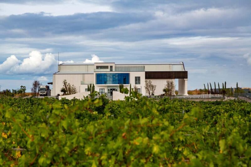 BODEGAS PANDORA: tour through the vineyards and winery with wine tasting. - Who Should Consider This Tour?