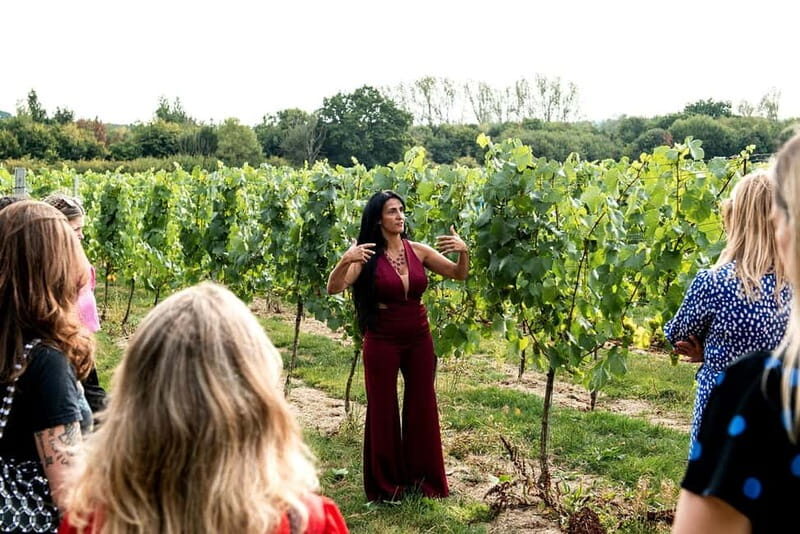 Bodiam: Vineyard Tour and Wine Tasting Experience - Bodiam: Vineyard Tour and Wine Tasting Experience