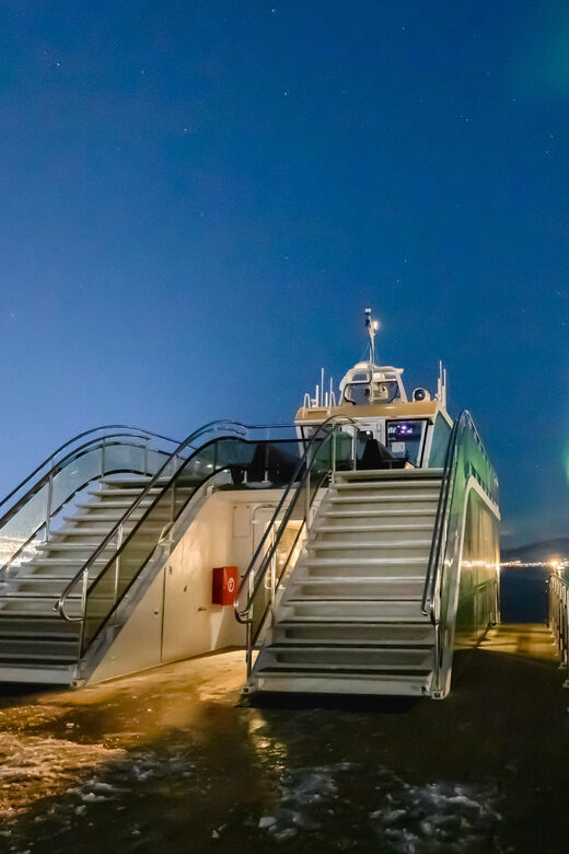 Bodø: Northern Lights Cruise - The Experience in Detail