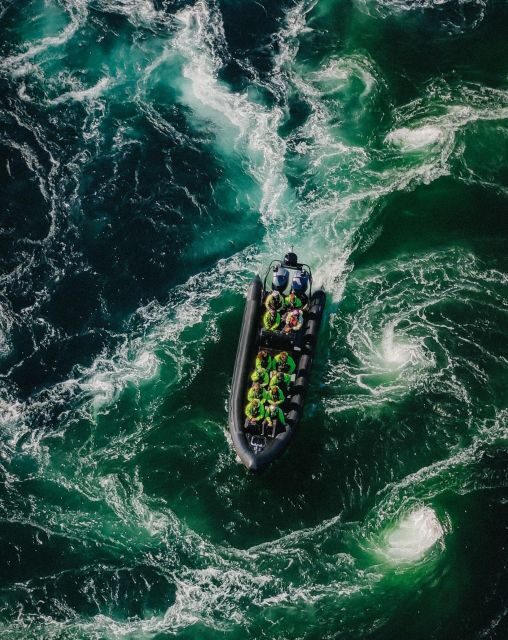 Bodø: Saltstraumen Sea Eagle Trip by RIB - The Itinerary Breakdown