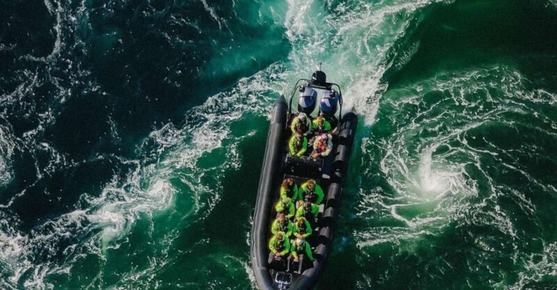 Bodø: Saltstraumen Sea Eagle Trip by RIB - The Experience of the Boat Ride