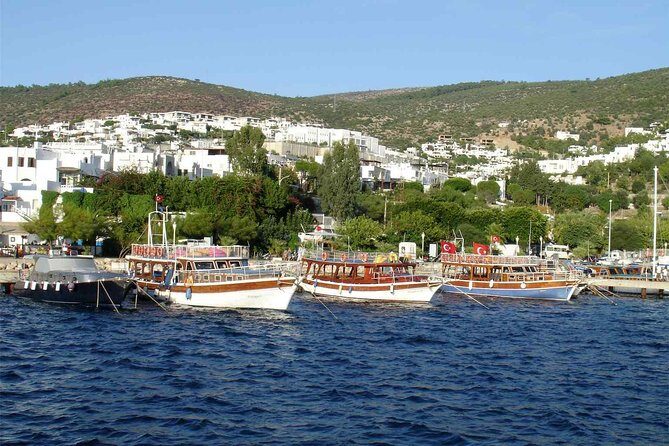 Bodrum Daily Boat Trip Karaada, Including Lunch - The Sum Up: Who Is This Tour Best For?