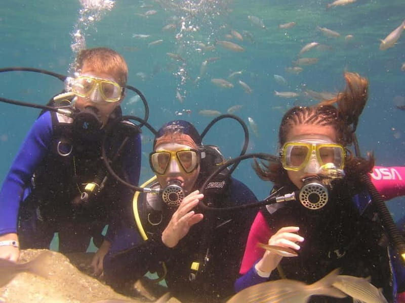 Bodrum diving day for advanced and beginner divers - Key Points