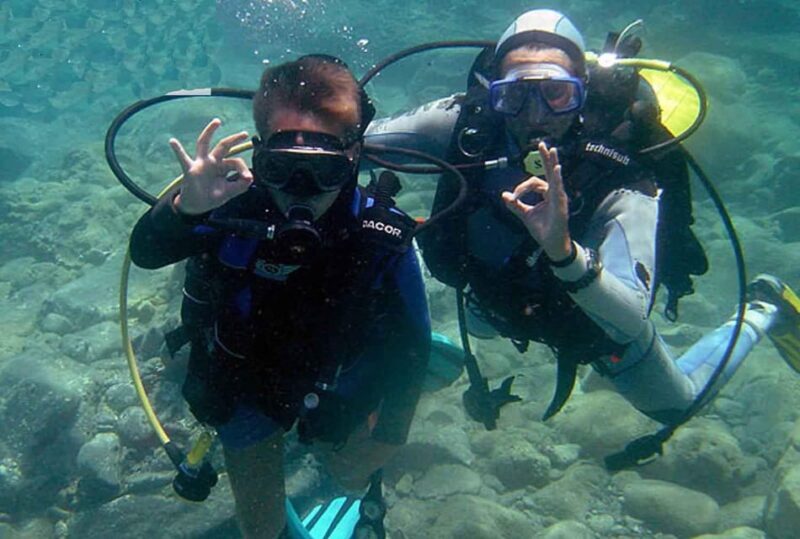 Bodrum diving day for advanced and beginner divers - Who Will Love This Tour?