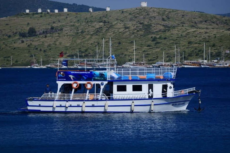 Bodrum diving day for advanced and beginner divers - The Sum Up