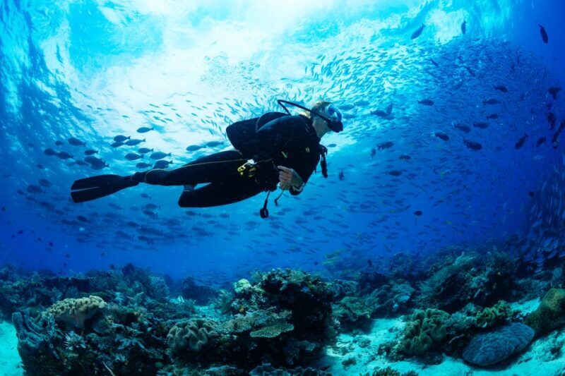 Bodrum: Full-Day Scuba Diving Tour - Who Should Book This Tour?