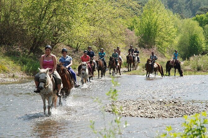 Bodrum Horse Riding Experience w/ Hotel Transfer Service - An In-Depth Look at the Bodrum Horse Riding Tour
