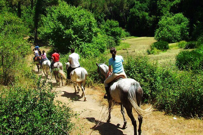 Bodrum Horse Riding Experience w/ Hotel Transfer Service - Authentic Insights from Past Travelers