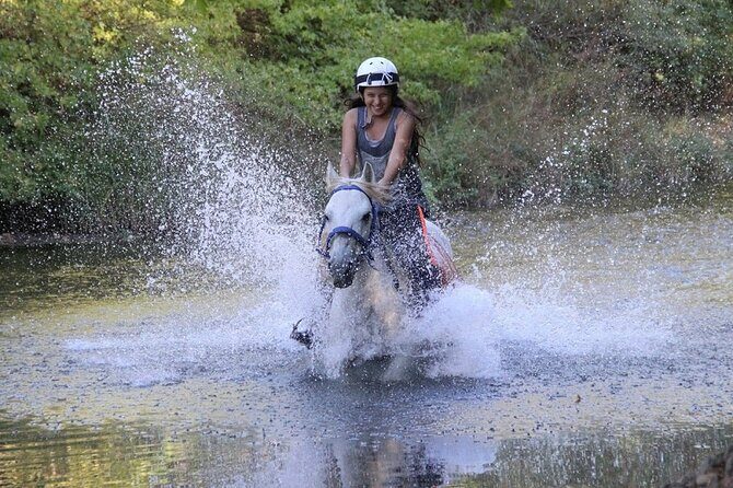 Bodrum Horse Riding Experience w/ Hotel Transfer Service - The Sum Up