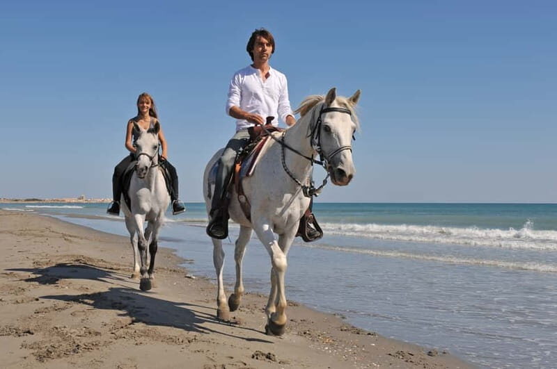 Bodrum: Horseback Riding Experience with Hotel Transfer - What to Expect on the Bodrum Horseback Riding Tour