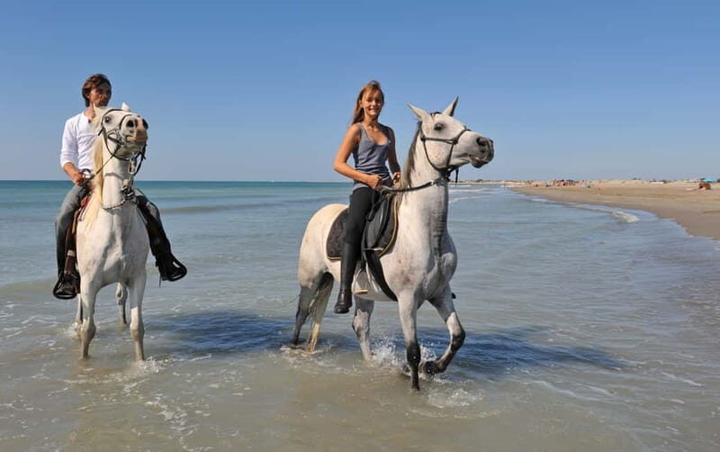 Bodrum: Horseback Riding Experience with Hotel Transfer - Detailed Breakdown of the Itinerary