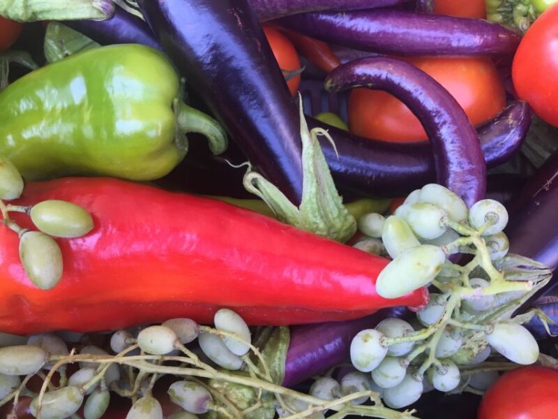 Bodrum: Market Visit and Cooking Class - Key Points