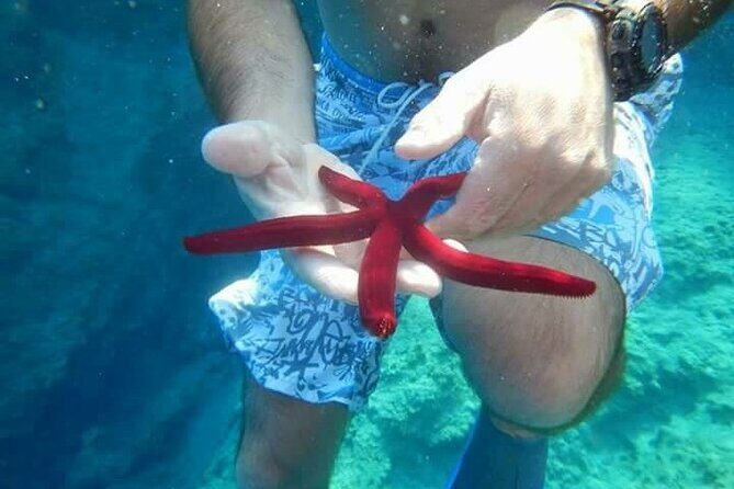 Bodrum Private Gulet Cruise with a Mediterranean Lunch - Authentic Insights from Reviewers