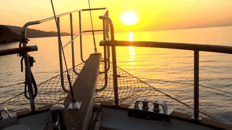 Bodrum: Private Sunset Boat Tour with Optional Dinner - Authentic Experiences and Guest Feedback