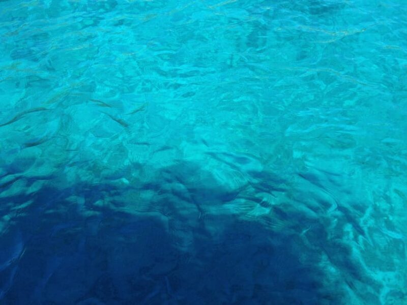 Bodrum: Scuba Diving Trip with Lunch - Overview of the Bodrum Scuba Diving Experience