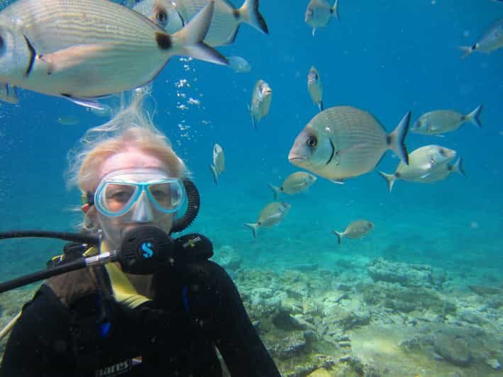Bodrum: Scuba Diving Trip with Lunch - The Underwater Environment