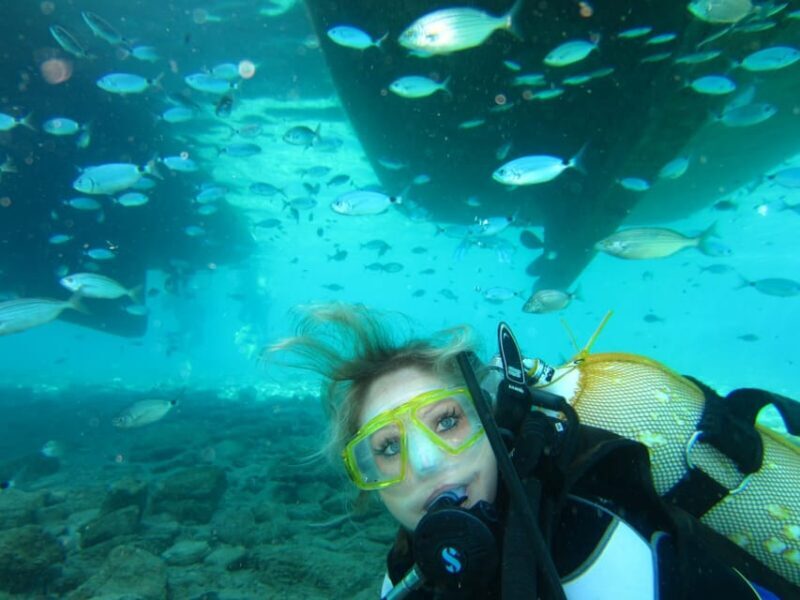 Bodrum: Scuba Diving Trip with Lunch - Practical Details