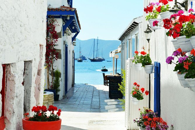 Bodrum Shore Excursion: Private Bodrum Express Sightseeing Tour - Who Should Book This Tour?