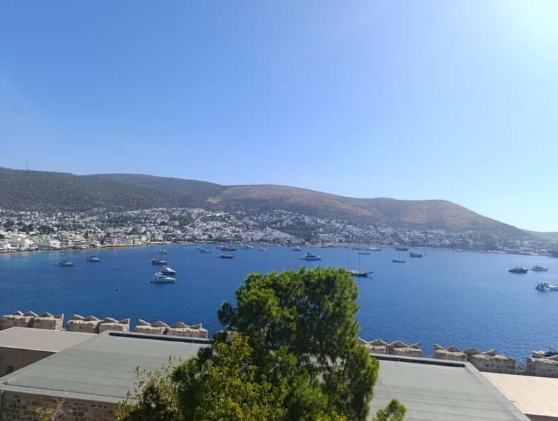 Bodrum St.Peters castle & Underwater Archeology Museum tour! - Who Will Love This Experience?