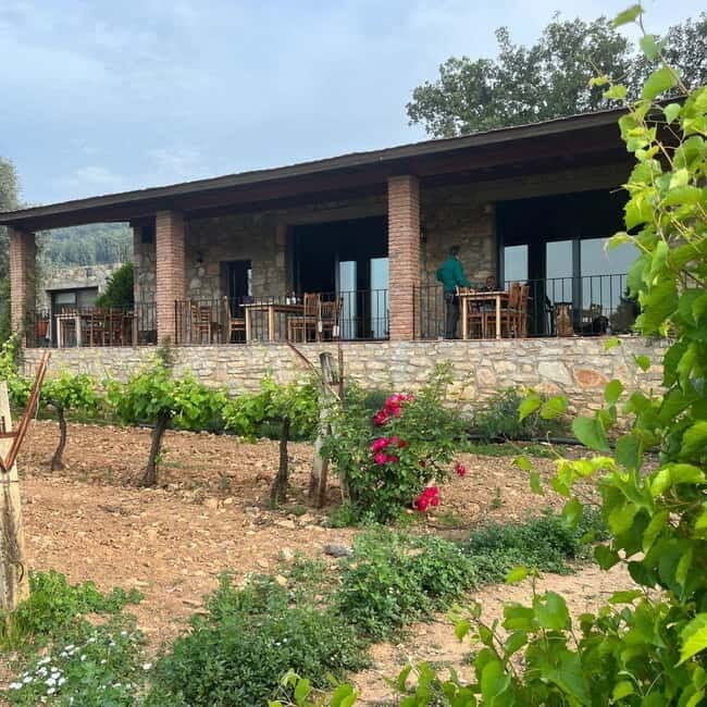 Bodrum Village Charm & Wine Delight Tour - What Sets This Tour Apart