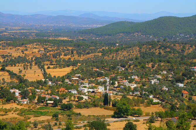 Bodrum Village Tour with Group - Exploring the Heart of Rural Turkey: A Deep Dive into the Bodrum Village Tour