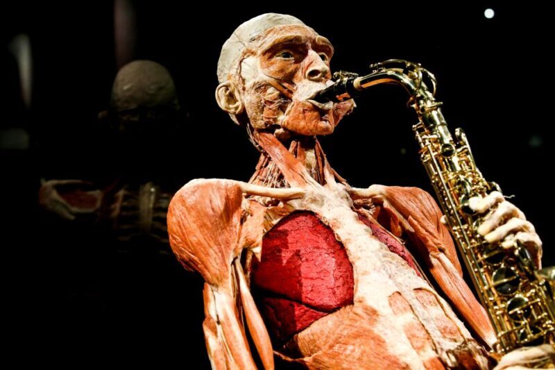 Body Worlds Amsterdam: The Happiness Project Ticket - The Bottom Line: Who Should Visit?