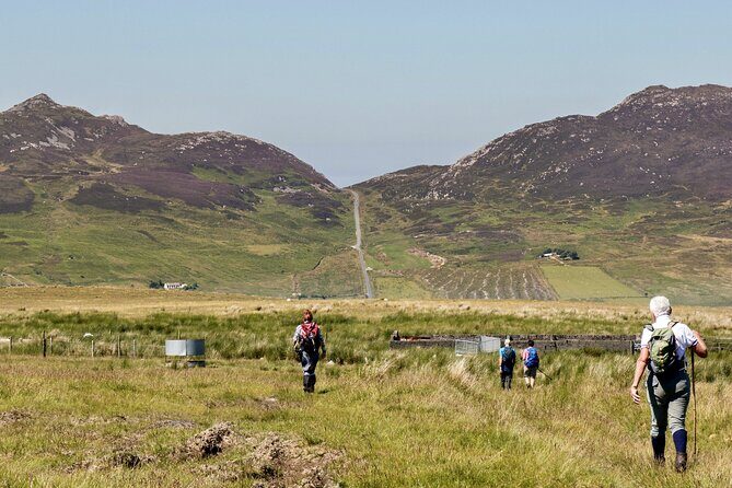 Bog Safari Hike - Key Points