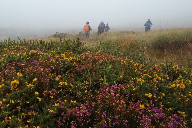 Bog Safari Hike - FAQ
