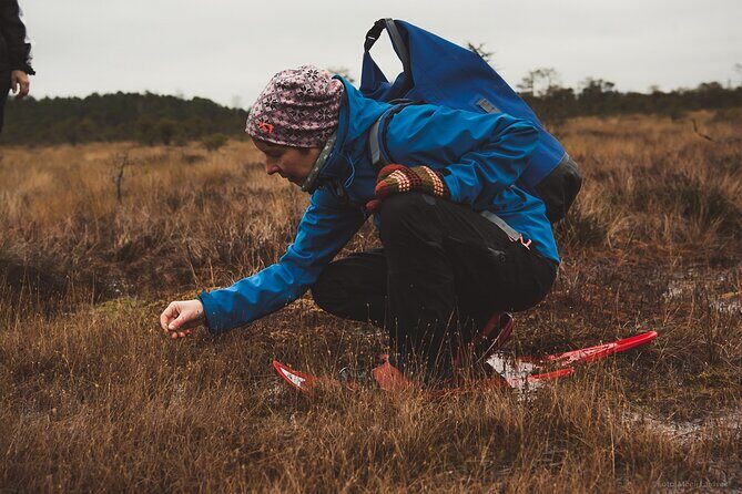 Bog-shoe Hiking Tour - The Detailed Experience: What to Expect on the Bog-shoe Hiking Tour