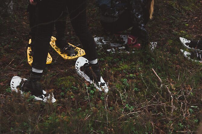 Bog-shoe Hiking Tour - How This Tour Offers Value