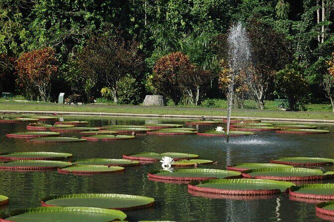 Bogor Botanical Garden & Rainforest Trekking to Hidden Waterfall - Key Points